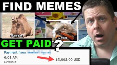 $271 A Day Finding Memes? Copy And Paste? Legit Method!