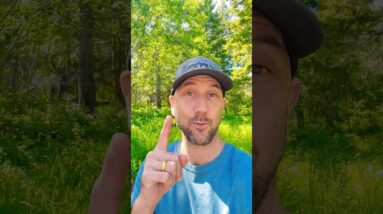 The #1 Reason Newbies Fail To Make Money Online