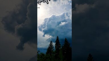 What Are Your Non-Negotiables?