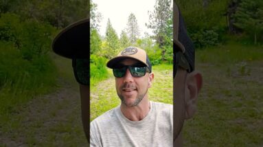 From $0 to $100,000/yr as a Digital Creator.