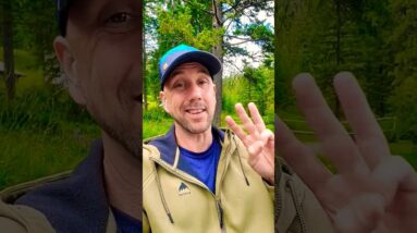 The Easy Way To Make Money Online