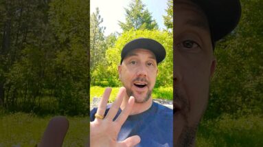 The Shortcut To Making Life Changing Money Online