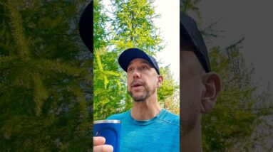 Affiliate Marketing or Dropshipping in 2023?