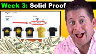 I Made $300 A Day [New Website] - Simple Affiliate Strategy!