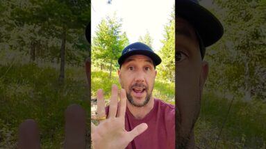 Live Group Coaching Call Sunday 8/6 - Claim Your Seat!