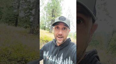 The 100% Guaranteed Path To Making More Money Online