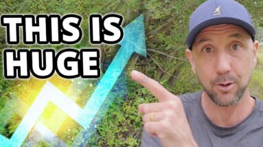 My #1 Traffic Secret Revealed