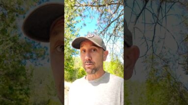 Simple YouTube Strategy That's Earned $1,000,000+