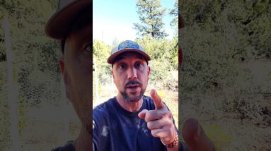 3 Secrets of the Guru Industry the Greedy Gurus Don't Want You To Know!