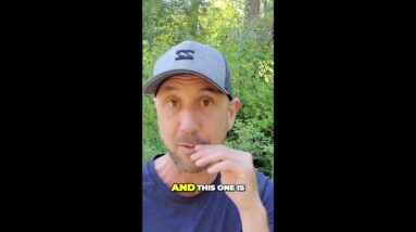 The Key To Massive Success For Your Online Business