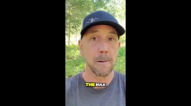 Unleashing the Power of Email to Boost Online Business Success