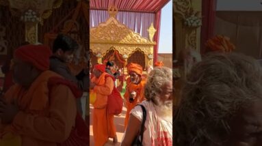 We Helped Feed 800+ Sadhus at the Maha Kumbh Mela