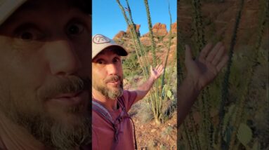 Keep Your Eye On The Prize!