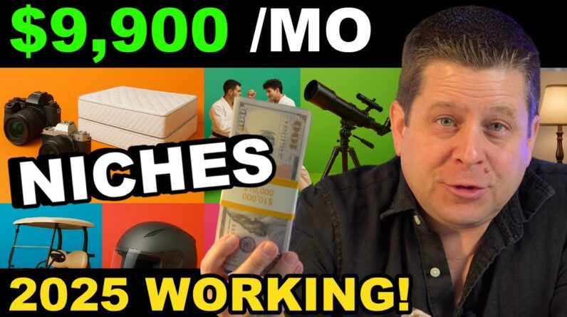 $10K A Month Niches - Still Working In 2025 - My Ai Profit Strategy!